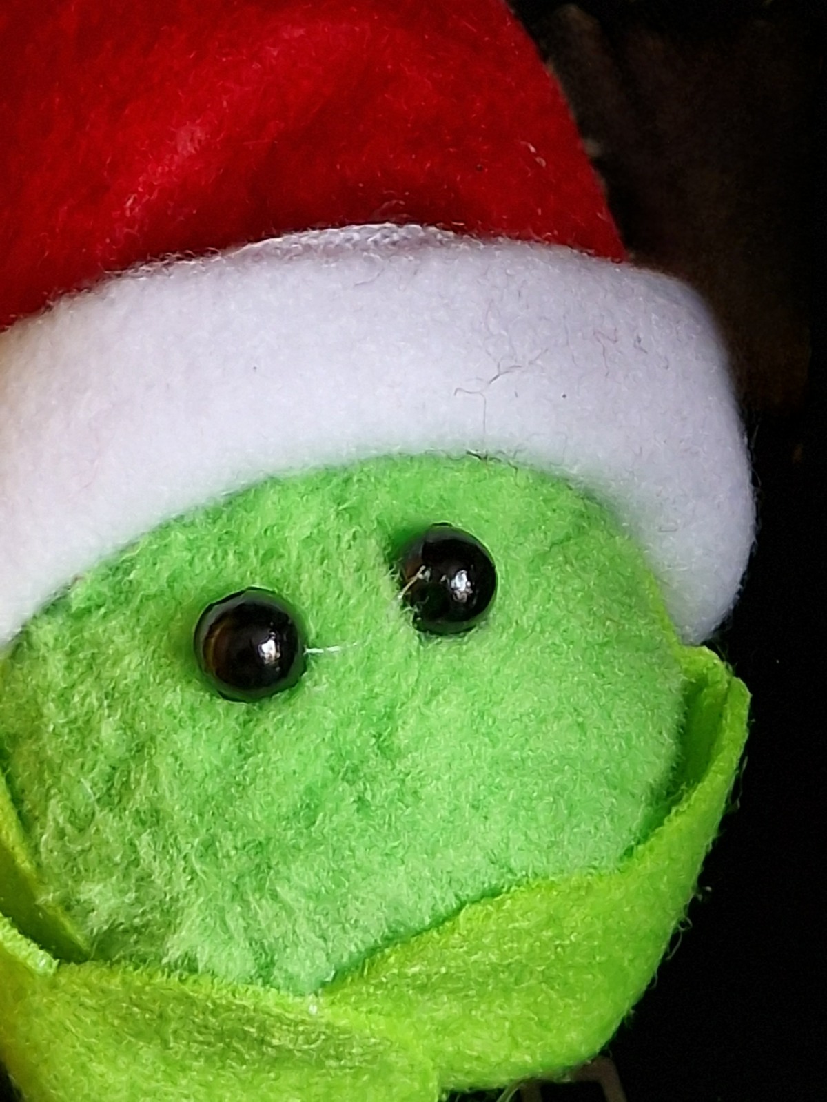 A furrty green ball, with two felt leaves, create a sprout, with a pair of bead eyes. It is wearing a red and white santa hat.