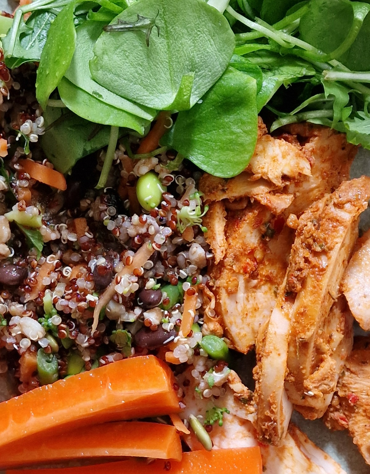 Green leaves of a salad, sit on top of a pile of quinoia grains, next to some chicken slices and across the bottom of the picture are sticks of carrot