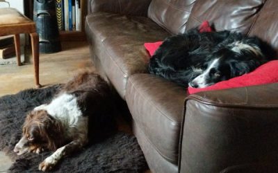 A weekend in Wiltshire