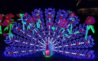 Photo a Day collection – January 2018