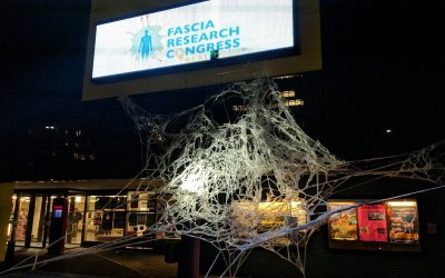 Thoughts on the 5th International Fascia Research Congress, Berlin 2018