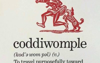 I plan to coddiwomple in 2019