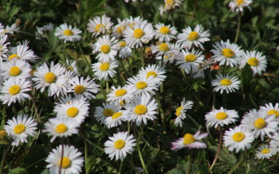 May and June 2019 – Changes to clinic times and classes