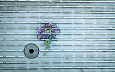 Photo a Day Collection – February 2020