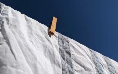 Photo a Day Collection – May 2020