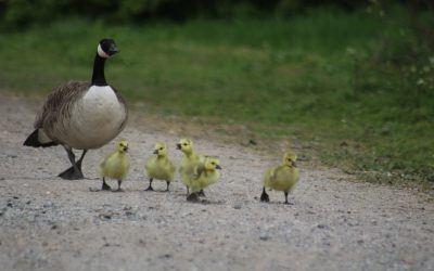 Photo a Day Collection – May 2021