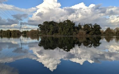 Photo a Day collection – February 2022