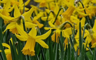Photo a Day Collection – March 2022