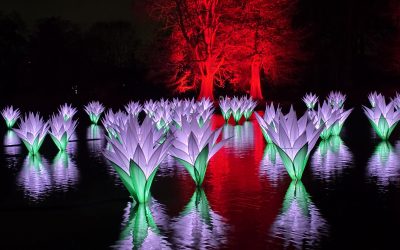 Christmas times 2025