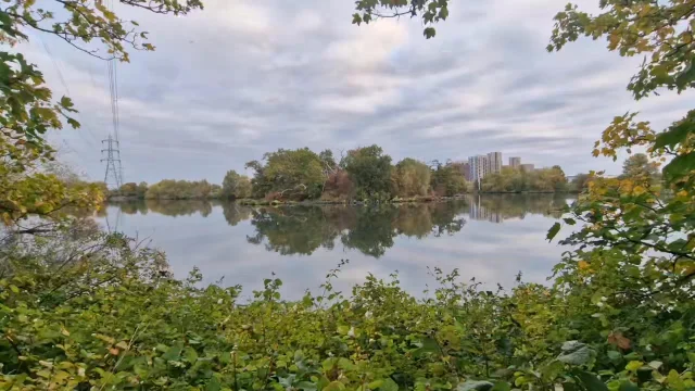 Here's a minute of calm from the Wetlands last week (haven't been able to get there this week) to set you up for a wonderful weekend.#MellowMoment #MellowMinute #CalmMinute #MiddayMindfulMinute #mfr #myofascialrelease #sportsmassage #tmjtherapy #scarwork #Barbican #EC2 #Clerkenwell #EC1 #BarbicanLife #ClerkenwellLife #JFBMFR #mfrTherapist #jfbmfrTherapist #SMFR #SelfMFR #SelfCare #PainScience #FitForPurposeFramework #FitForPurpose