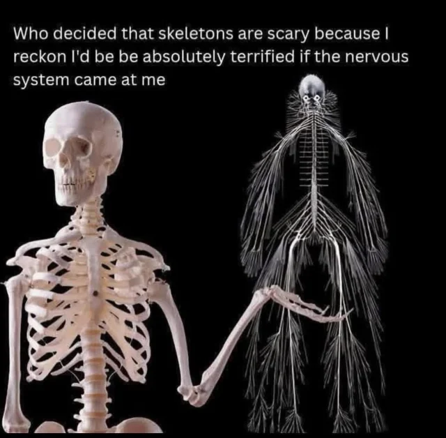 And another Friday funny